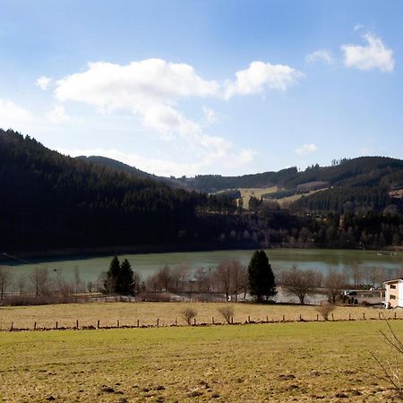 Fewo Hoher Eimberg Niedersfeld Appartement Winterberg Buitenkant foto