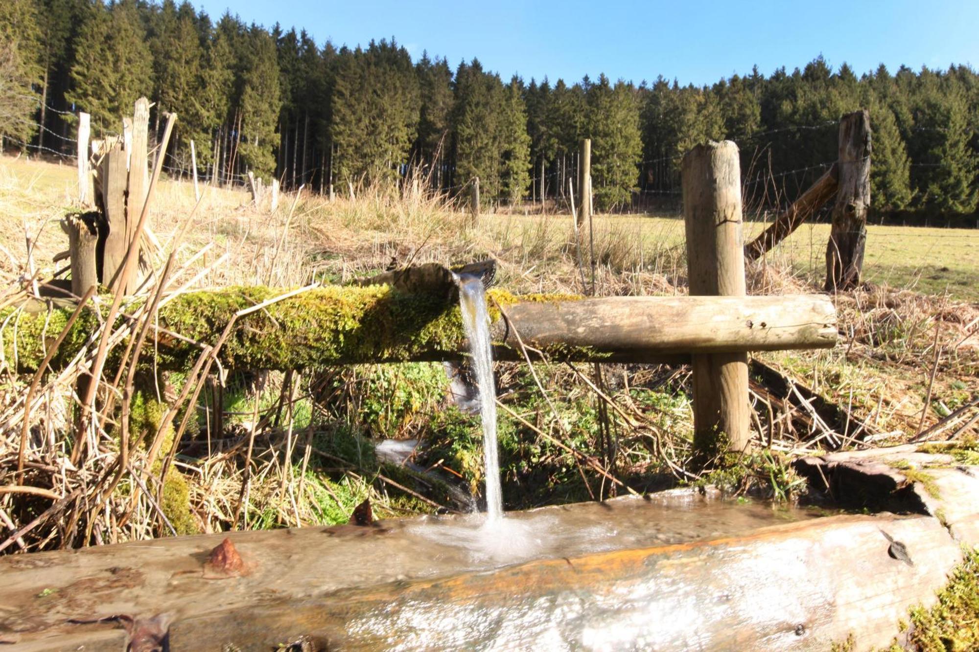 Fewo Hoher Eimberg Niedersfeld Appartement Winterberg Buitenkant foto